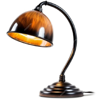 Designer's Lamps